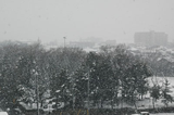 ２００８年２月