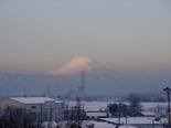 冬の富士山です