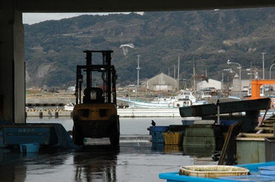保田港
